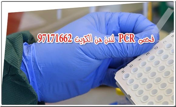 فحص Pcr لندن من الكويت